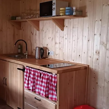 Planinska Hisica Pod Macesni - Bohinj Holiday home