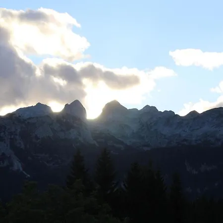 Ferienhaus Planinska Hisica Pod Macesni - Bohinj