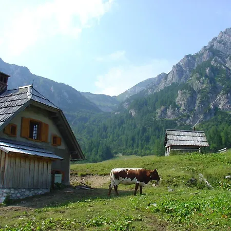 Planinska Hisica Pod Macesni - Bohinj