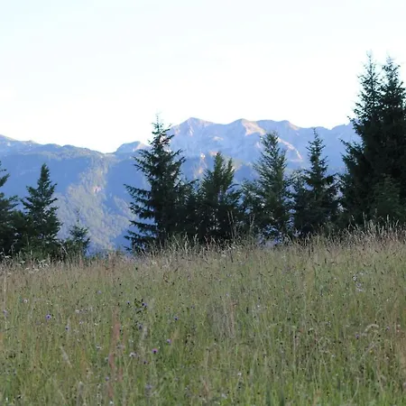 Planinska Hisica Pod Macesni - Bohinj * Srednja Vas v Bohinju