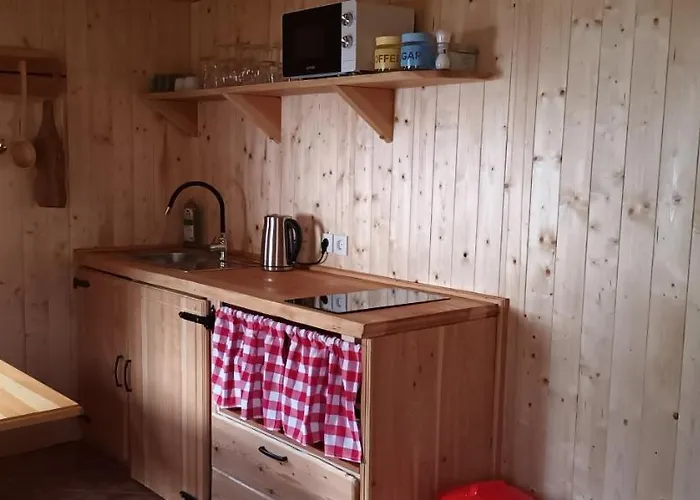 Planinska Hisica Pod Macesni - Bohinj Holiday home