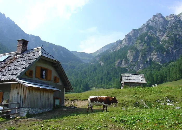 Planinska Hisica Pod Macesni - Bohinj