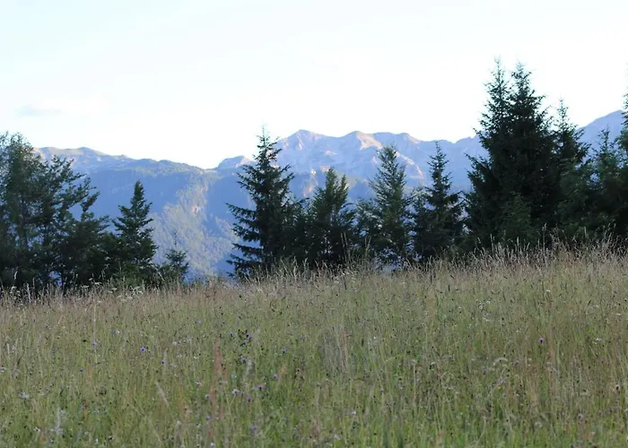 Planinska Hisica Pod Macesni - Bohinj * Srednja Vas v Bohinju